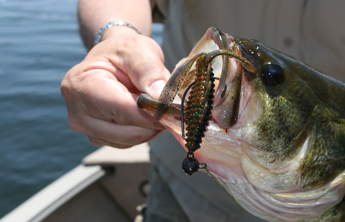 5 Tips on Catching Early Season Smallmouth Bass - This Is Fi